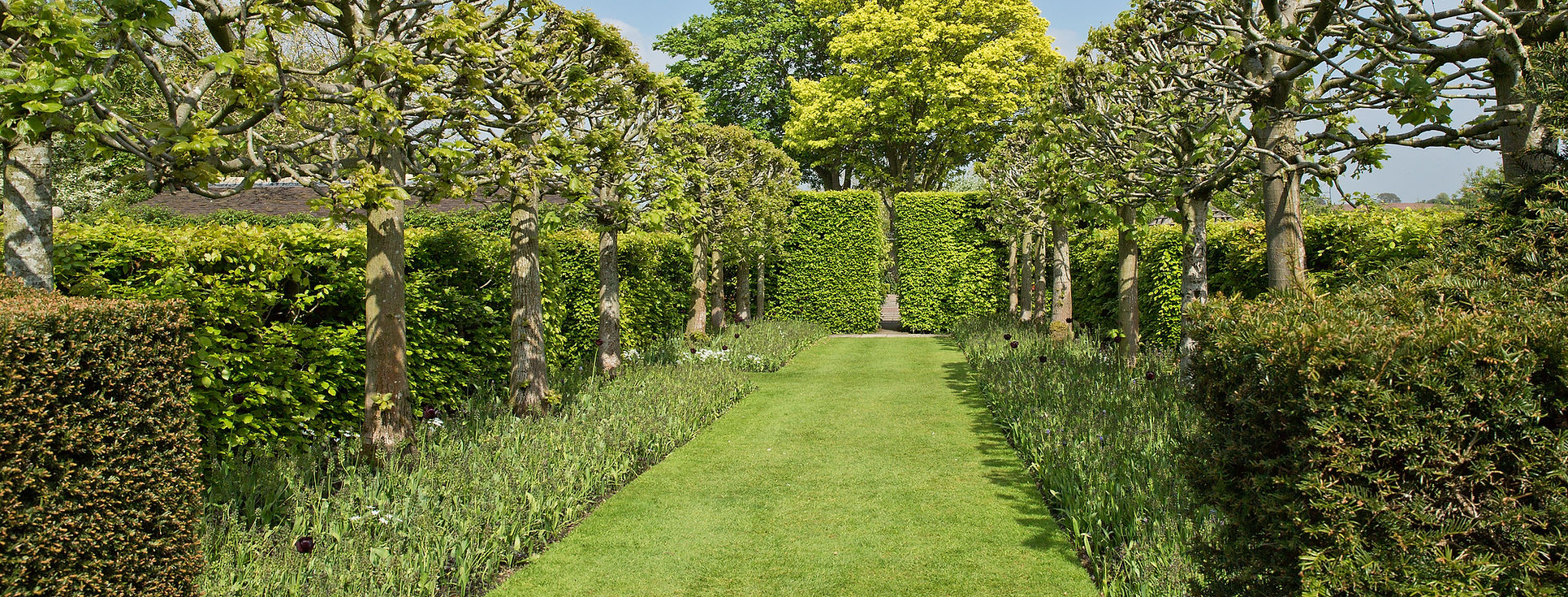 Symmetrical garden path lined with manicured trees and hedges