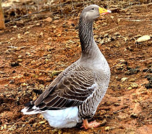 20260218_103605_edited.jpg