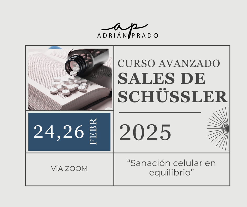 Curso Avanzado Sales de Schüssler Febrero 2025