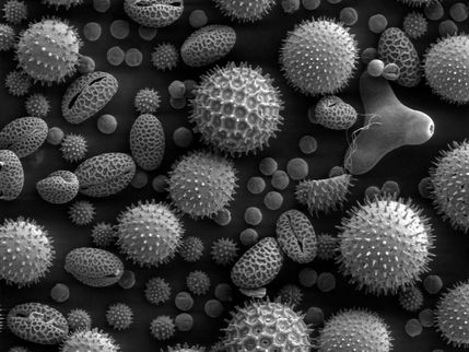 Pollen structural diversity and it's application to Forensic Science