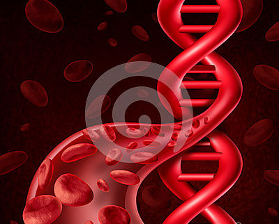 Forensics: Isolation of DNA from whole blood.