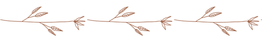 Progetto senza titolo (7)_edited.png