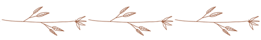 Progetto senza titolo (7)_edited.png