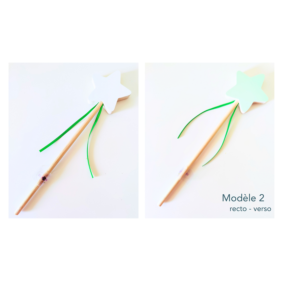Miniature : Baguette "magique" en bois vernie