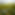 kindndivine wth the background being a field of grass with yellow bed of dandelions (top v