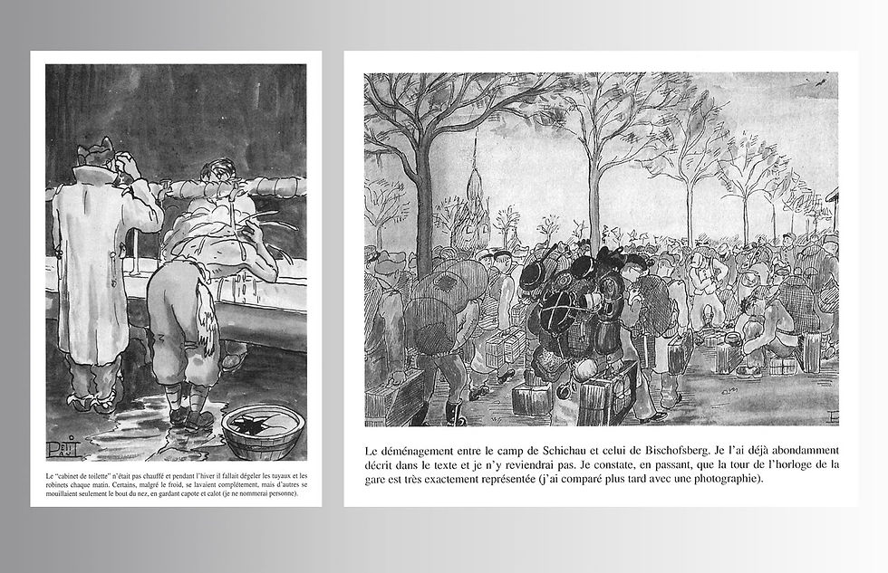 illustrations