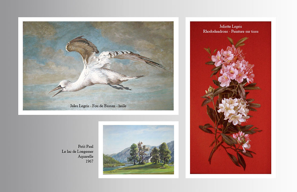 illustrations