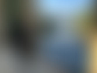 Exploring Macon’s Hidden Gems: Best Parks for Family Photography