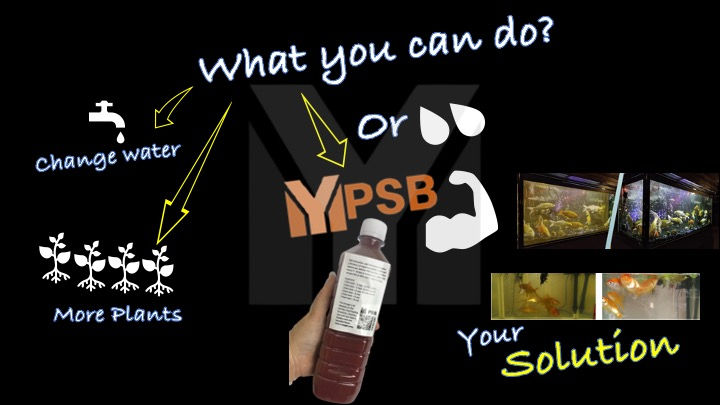 Thumbnail: PSB Photosythetic Bacteria 光合菌1.5L