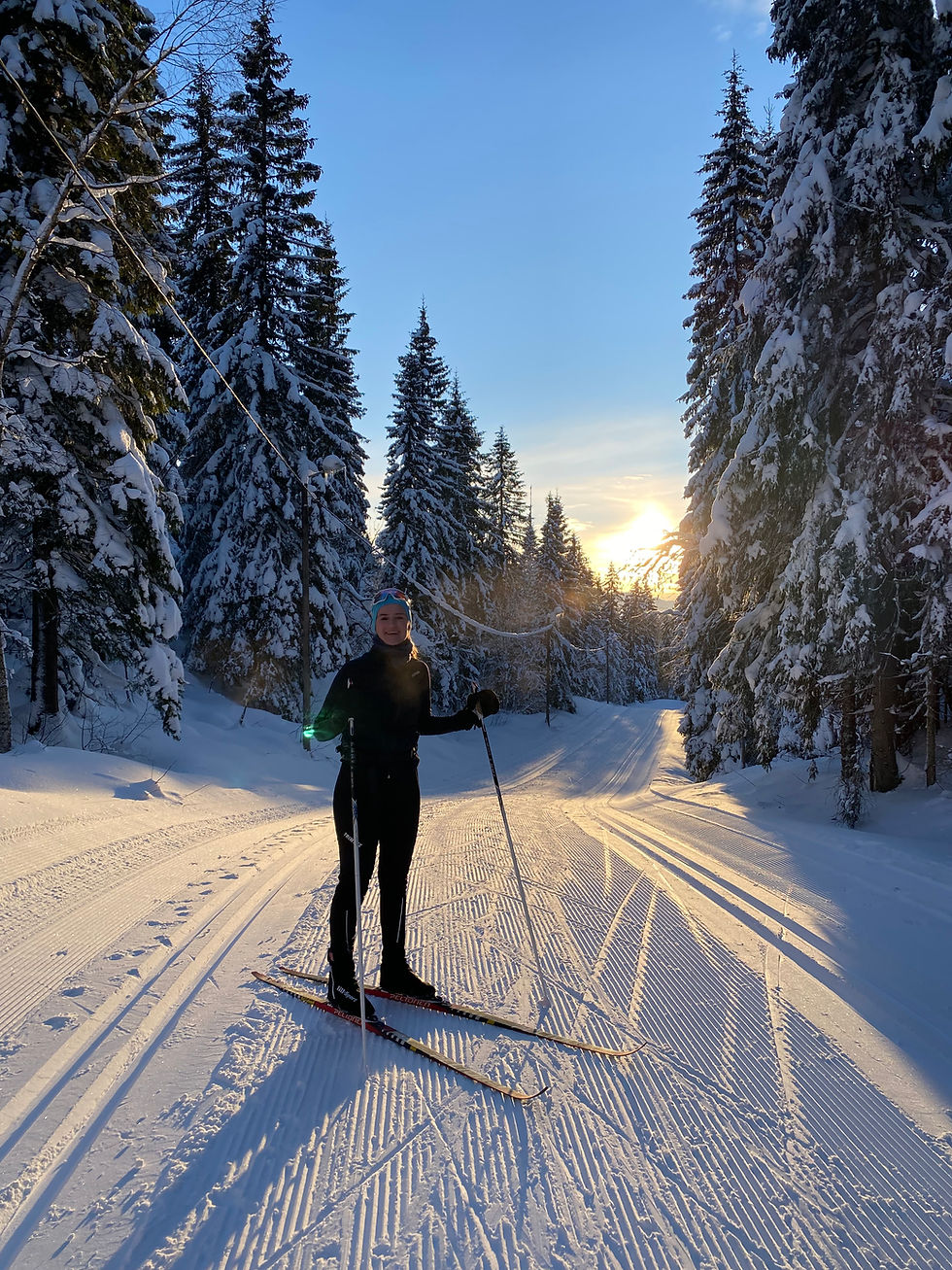 Skitur til Elgsethytta