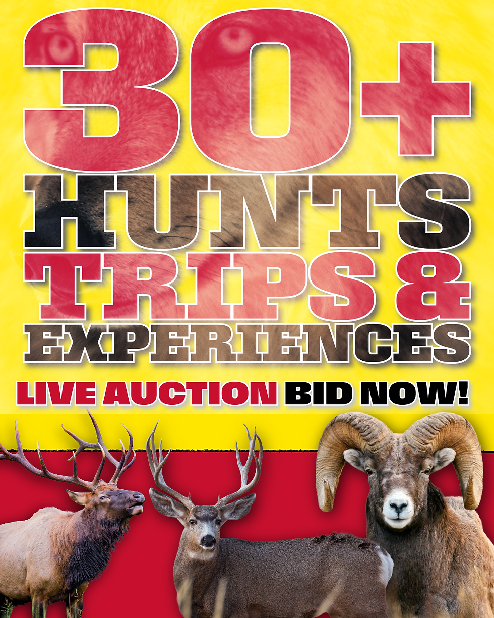 JULY 18 - ONLINE AUCTION