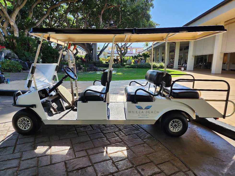 Wailea Beach Resort Golf Car