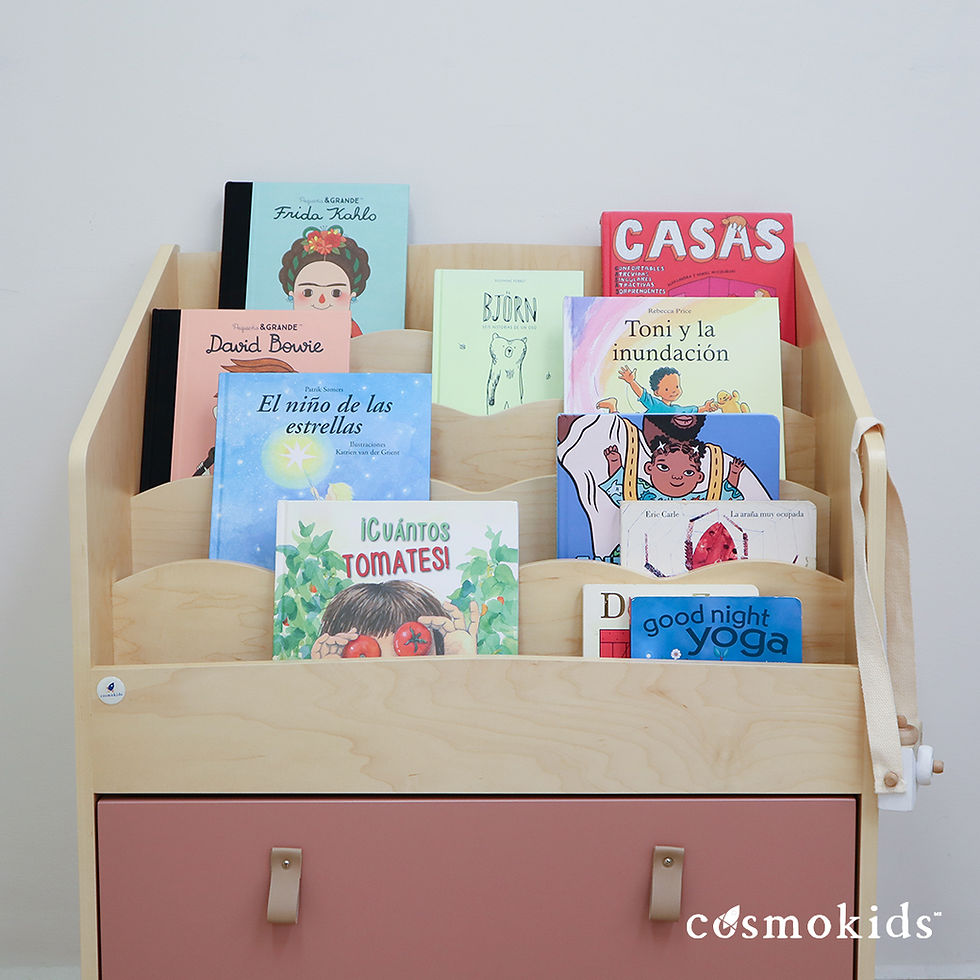 Miniatura: Librero Eclipse