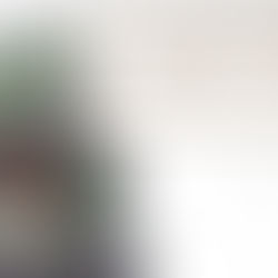 Creative Ideas for a Stunning Dinosaur Cake Topper