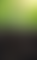 Roots growing quietly underground before the tree grows tall