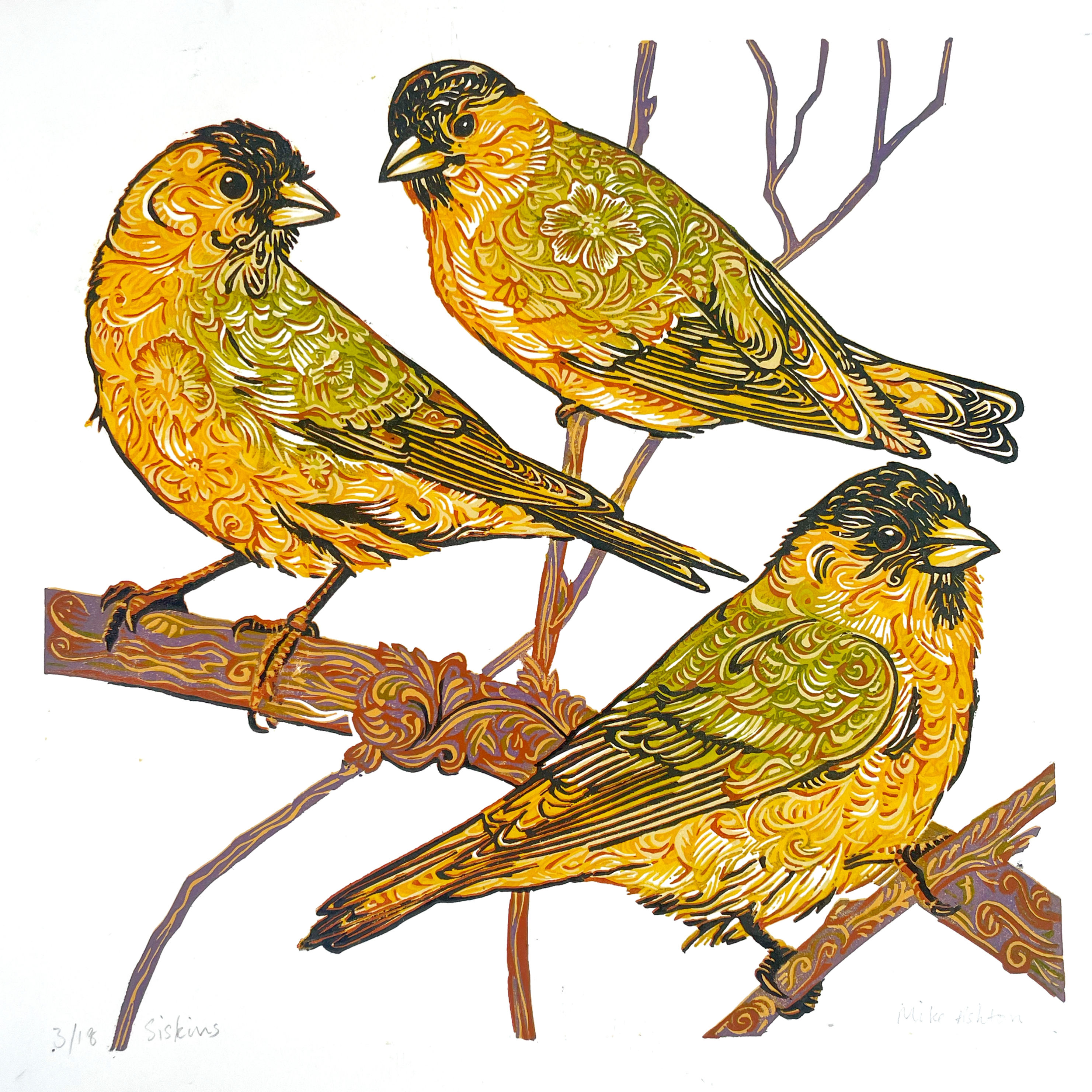 Siskins