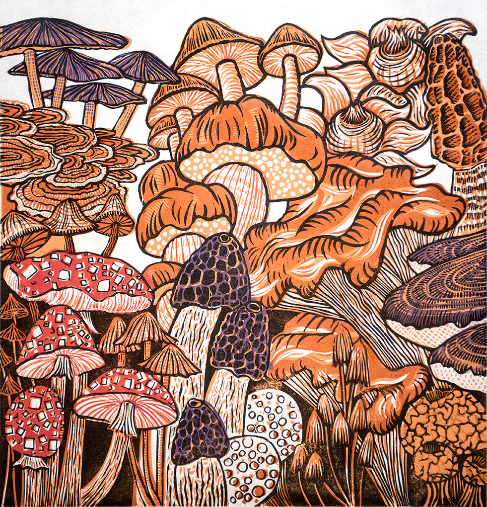 Balls, Brackets & Boletus