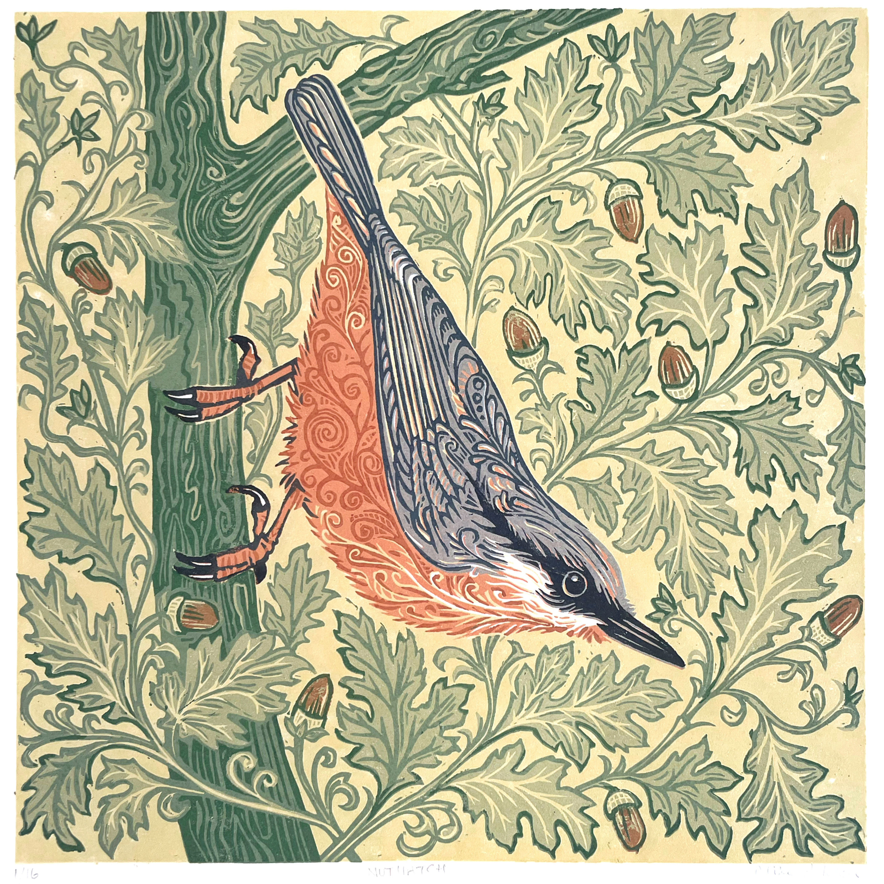 Nuthatch