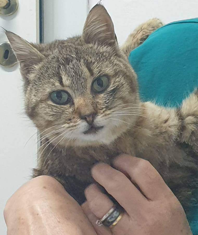 Assistente e me_edited