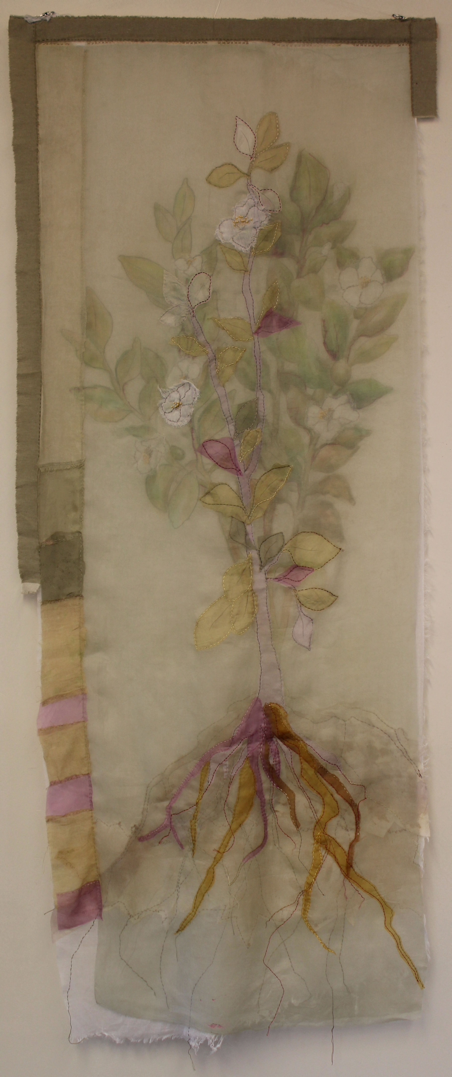 Kammy Kennelly Downs "Green Tea"