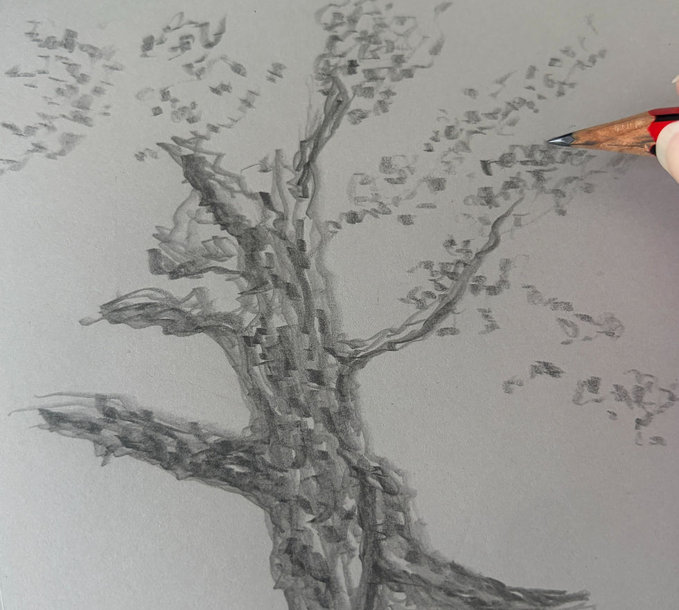 Oak_edited.jpg