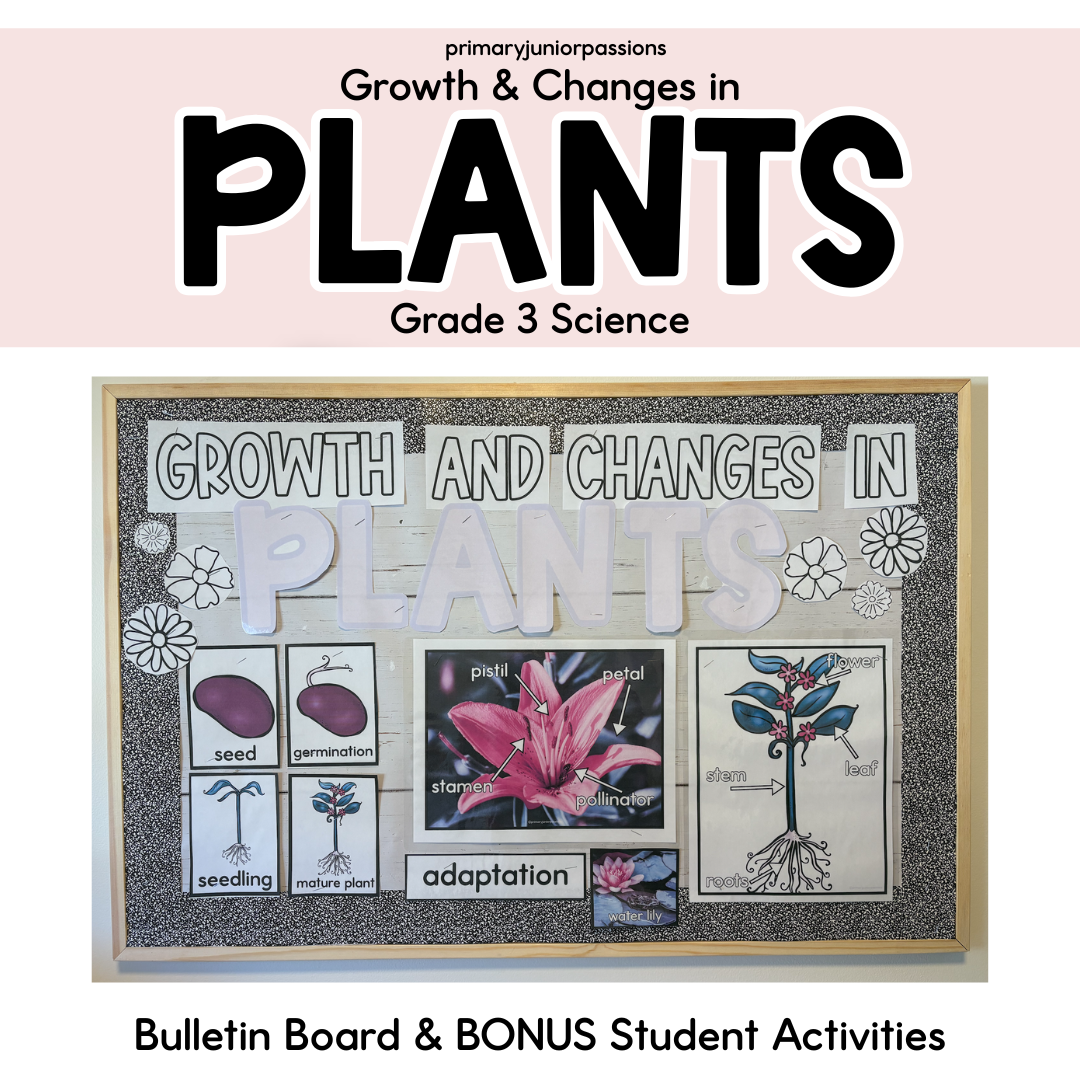 Growth & Changes in Plants Bulletin Board | Grade 3 | Ontario | BONUS Activities