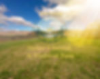 Gather & Ground - Outdoor Yoga at Windswept Farm