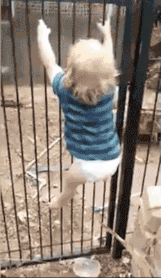 aluminium-fence