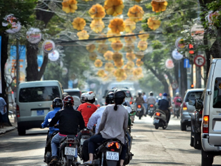 Rootless: Ho Chi Minh City and Jakarta