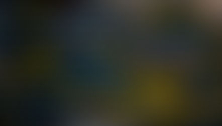 Honeypoty společnosti Bitdefender signalizují probíhající aktivní útoky Log4Shell 0-Day; záplatujte!