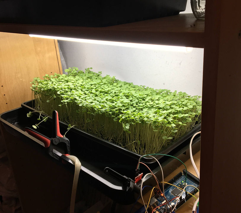 Gratis Farms Automated Microgreens_edited.jpg