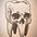 tooth skull_edited.jpg