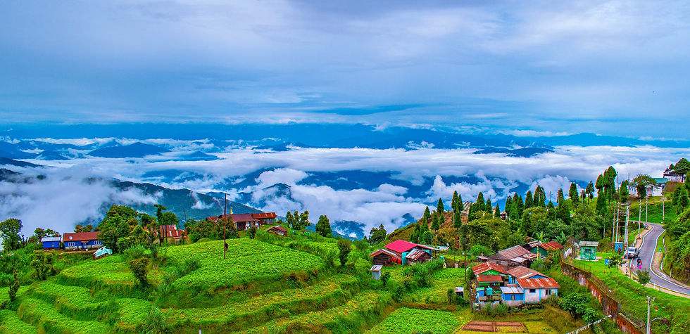 darjeeling3
