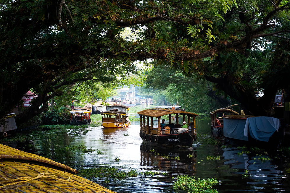 backwaters-alleppey