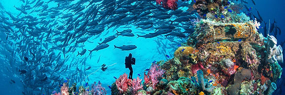 Bohol Scuba Diving