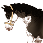Diniel_edited.png