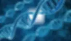 Computational-Biology-Genomics-Multiomics.webp