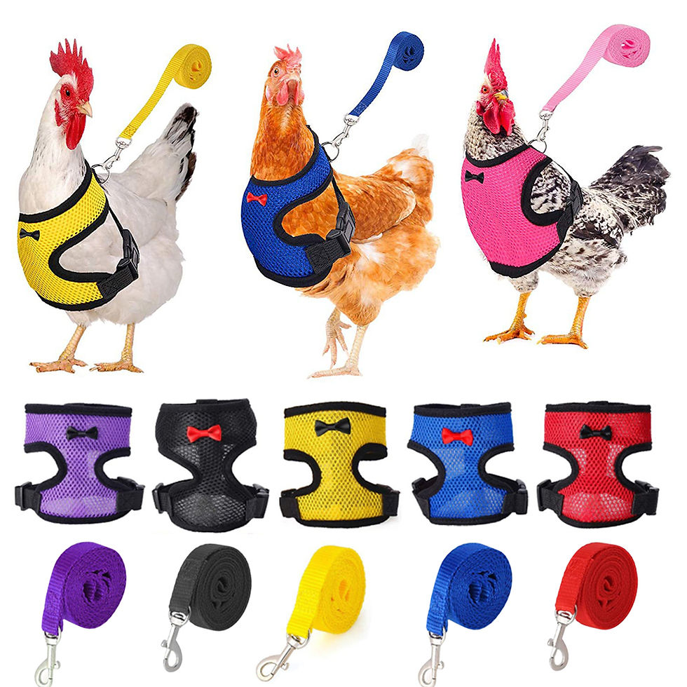 Pet Adjustable Harness Leash for Chicken Puppy Comfortable Breathable Pet