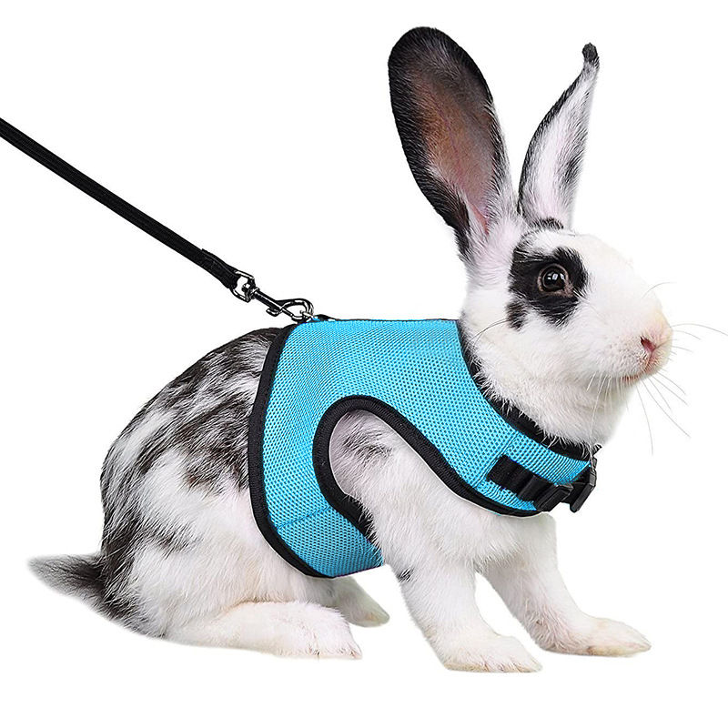 Miniatura: Mesh Breathable Pet leash Ferret Leash Set for Small Animals Rabbit Hamsters 