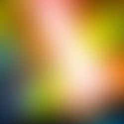 Nick Urata guitar solo