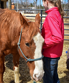 DSC_4709_edited.jpg