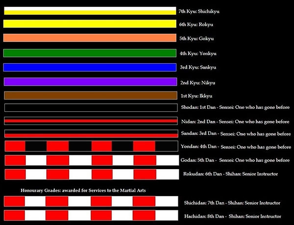 Grades in CMA Ryu Kempo Ju-Jitsu 2017.jpg