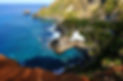 33E00E63-7CF0-4484-B195-39DCA5194AB0.jpeg