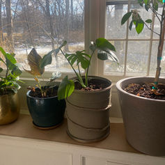 Faux Terracotta DIY Planter