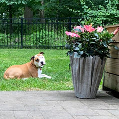 DIY Concrete Towel Planters