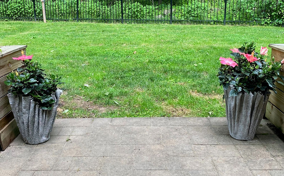 Two planters made from towels and concrete with flowers in them in a back yard
