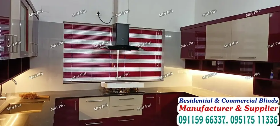 Designer Zebra Blinds for Hotels Offices Hospitals and Commercial Buildings in India