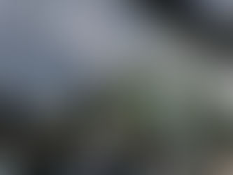 Pop-up store do Oasis chega ao Brasil