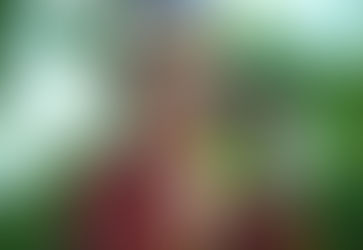 Billie Joe Armstrong