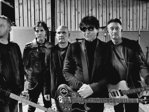 The Chameleons 